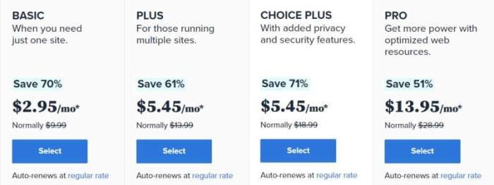 Screenshot of Bluehost pricing table