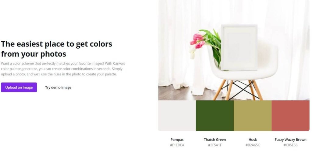 extract colors from image in canva